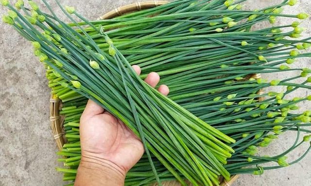 Top những loại rau củ giúp thải độc gan cực tốt