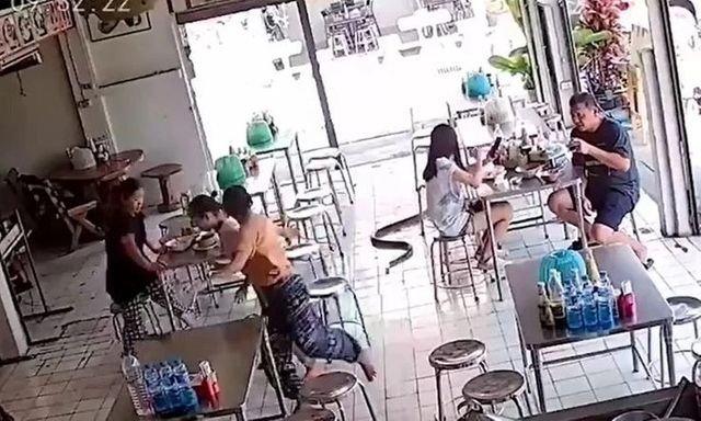 Trăn dài hơn 3 mét “đột kích” quán ăn, khách hàng và đầu bếp tháo chạy, camera ghi lại cảnh tượng hỗn loạn