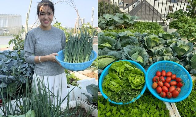 Mẹ đảm Hà Nội biến sân thượng tầng 5 thành 