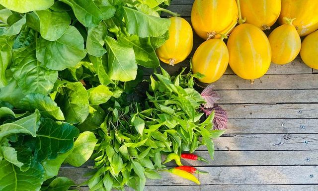 Cận cảnh khu vườn 