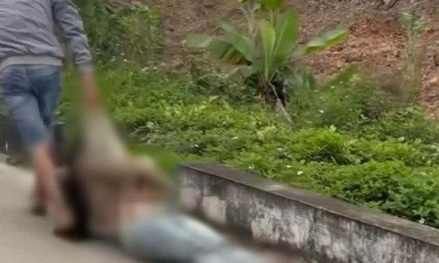 Vụ clip cô gái người đầy thương tích bị kéo lê trên đường: Công an Hải Phòng vào cuộc xác minh