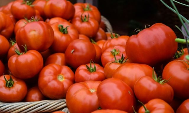 Người bệnh thận có nên ăn cà chua không?