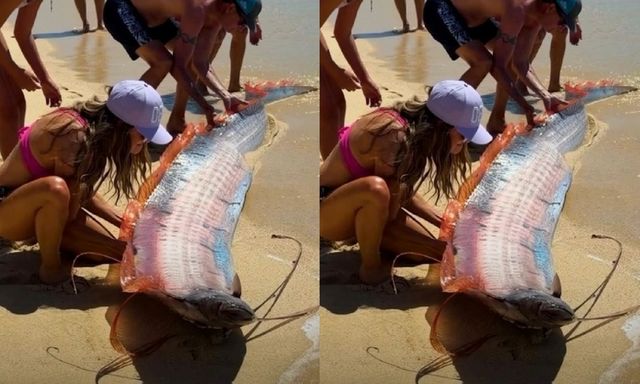 Clip: Nhóm du khách ngỡ ngàng khi chạm mặt cặp đôi 