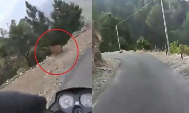 Kinh hoàng khoảnh khắc báo dữ lao ra từ bụi rậm, vồ thẳng vào người đi xe máy tại khúc cua tử thần