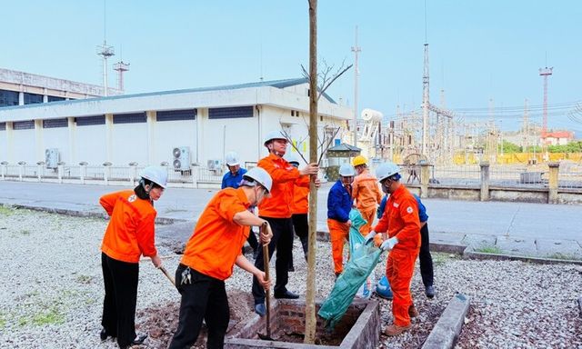 Công ty Nhiệt điện Uông Bí phát động “Tết trồng cây đời đời nhớ ơn Bác Hồ” Xuân 2026