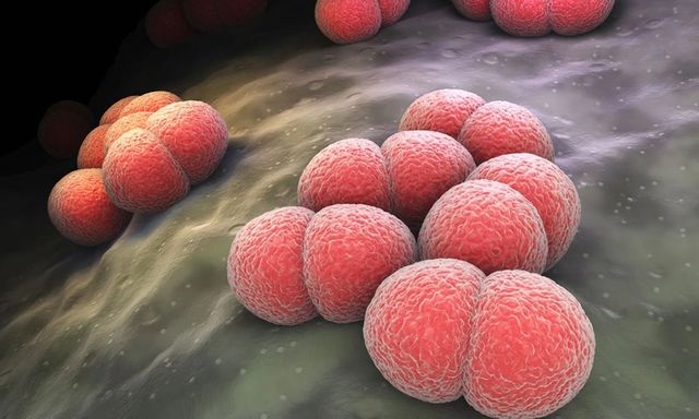 Vụ bé gái ở Phú Quốc tử vong: Xác định nguyên nhân