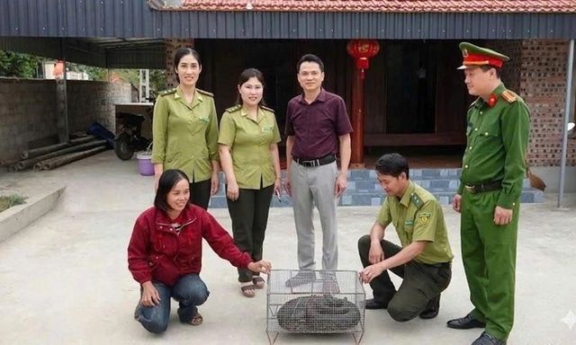 Trăn đất quý hiếm lạc vào vườn nhà, người dân ngay lập tức báo chính quyền