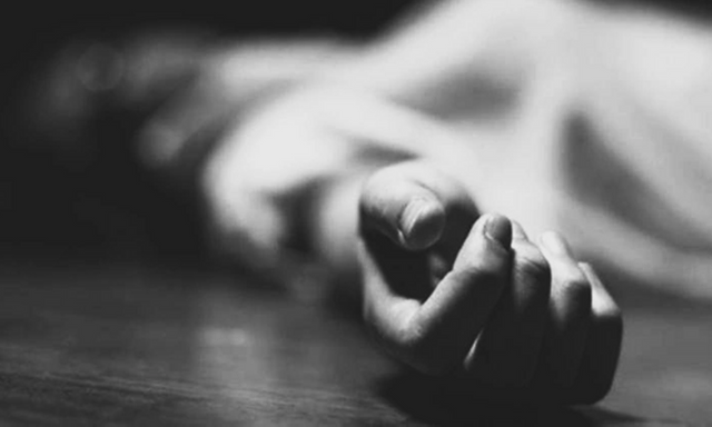 Nữ bác sĩ làm điều dại dột sau khi bị gia đình phản đối việc nuôi mèo