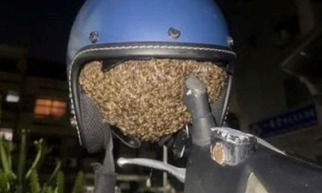 Clip: Để mũ bảo hiểm trên xe, người phụ nữ 