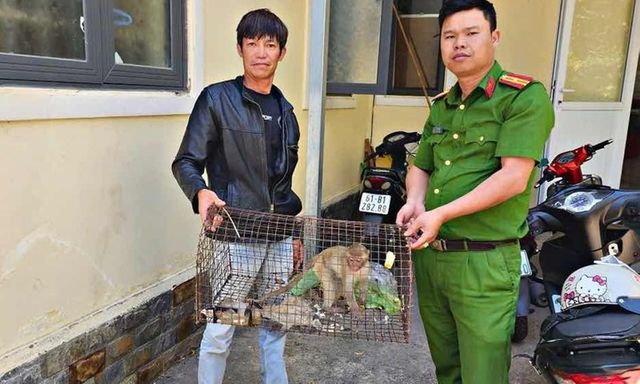 Phát hiện con vật quý hiếm, có khả năng leo cây thoăn thoắt 