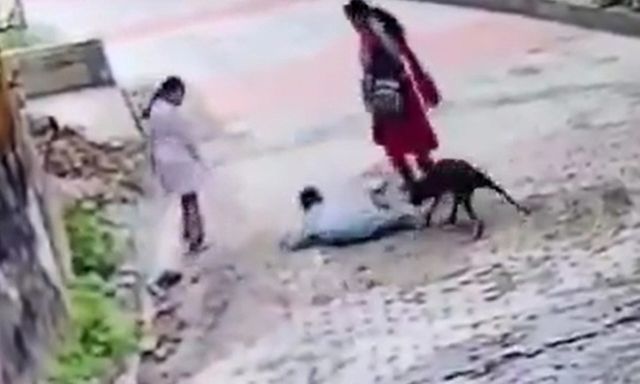 Đau lòng: Đang đi bộ cùng mẹ, bé trai bị chó hoang tấn công, camera ghi lại khoảnh khắc kinh hãi