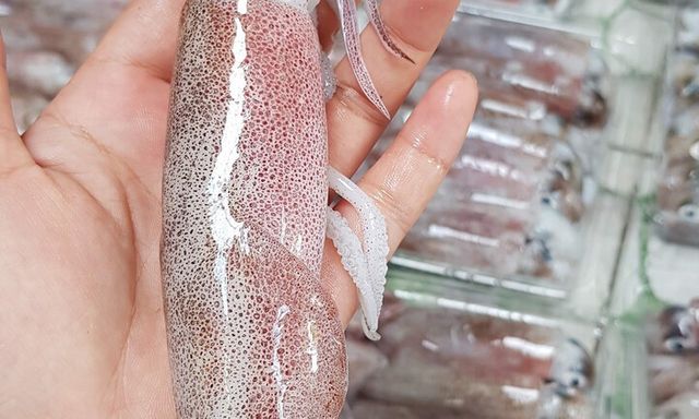 Làm thế nào để phân biệt mực tươi và mực đông lạnh?