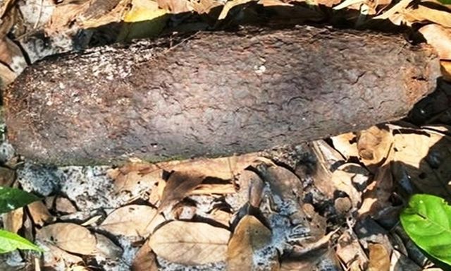 Tin tức thời sự 24h: Phát hiện 2 quả đạn pháo trên cánh đồng ở TP.Huế