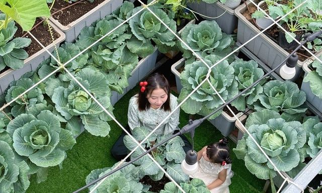 Cận cảnh khu vườn trên mái 