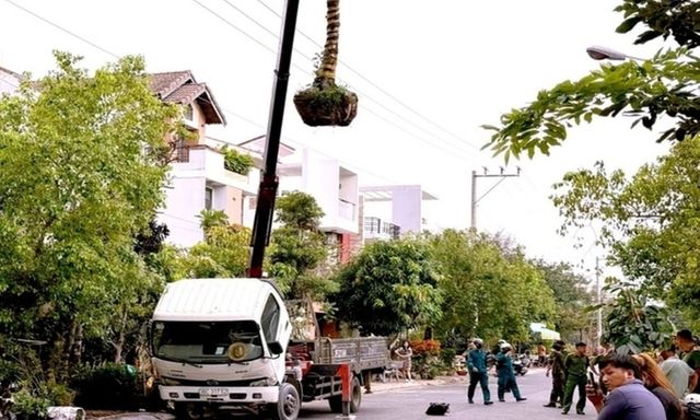 Tin tức thời sự 24h: Cẩu cây cảnh chạm vào đường dây điện, tài xế tử vong