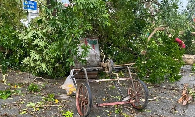 Dông lốc quật đổ cây, nữ công nhân môi trường kịp thời cứu 2 học sinh rồi bị trọng thương