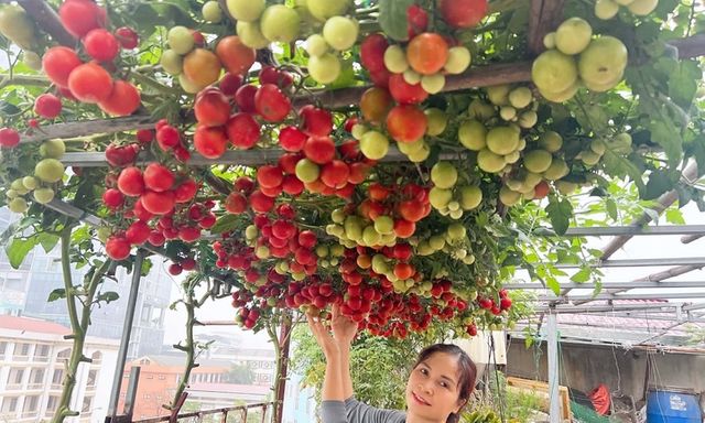 Chi 400 triệu biến sân thượng thành 