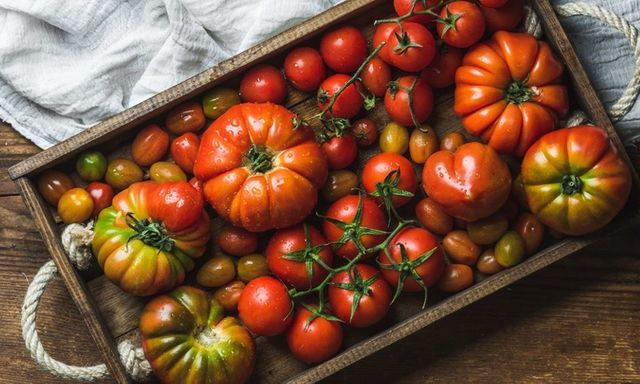 Người bệnh thận nên ăn cà chua không?