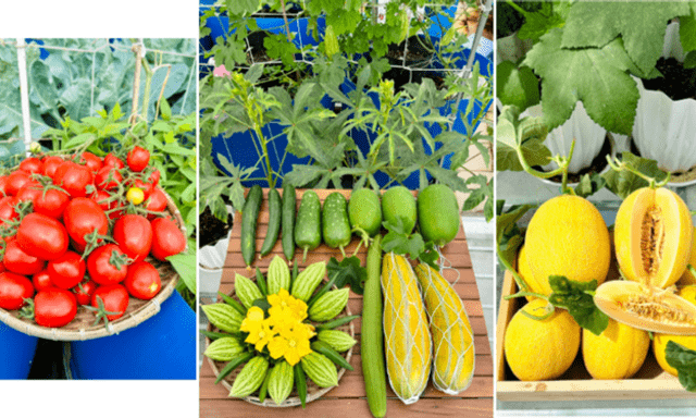 Sự thật về người phụ nữ Đồng Nai nhiều năm 