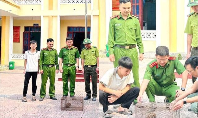 Tin tức thời sự 24h: Phát hiện con vật quý hiếm, nam sinh giao nộp cho kiểm lâm