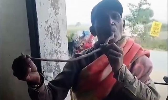 Rùng mình khoảnh khắc người đàn ông ngậm đầu rắn hổ mang trong miệng, cái kết đau lòng có thể đoán trước