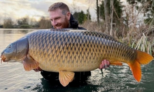 Clip: Cần thủ câu được con cá chép khổng lồ nặng gần 29kg