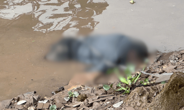 Điều tra vụ thi thể nam giới trên sông Hạ Lý, công an tìm người liên quan