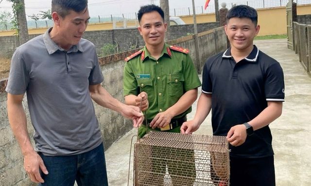 Tin tức thời sự 24h: Phát hiện con vật quý hiếm, người đàn ông bàn giao công an