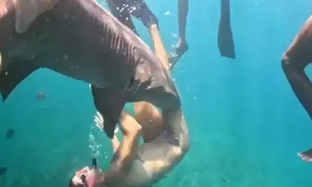 Du khách bị cá mập tấn công khi đang lặn biển, người bạn bất lực chứng kiến cảnh kinh hãi
