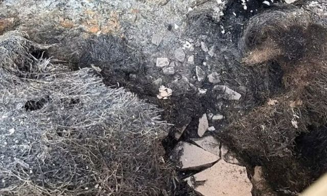 Vụ 4 người tử vong ở Gia Lai: Công an xác định không có dấu hiệu tội phạm