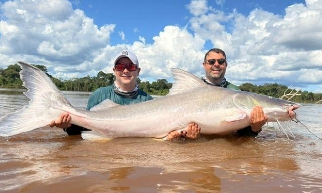 Clip: Hai anh em câu được con cá khổng lồ nặng 100kg, dài 2 mét