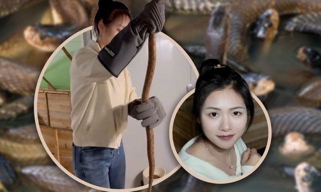 Bỏ bằng đại học về quê làm 