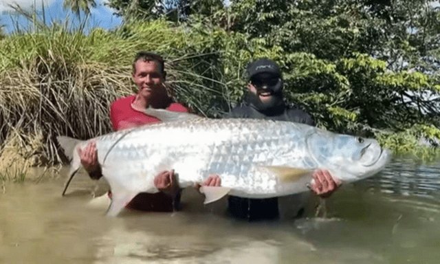 Câu được “thủy quái” dài gần 1,9m trên sông