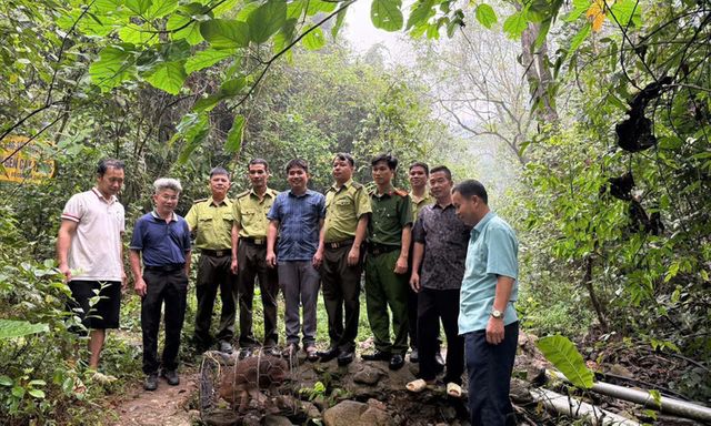 Khỉ mặt đỏ quý hiếm đi lạc vào vườn nhà, người dân tới trình báo cơ quan chức năng