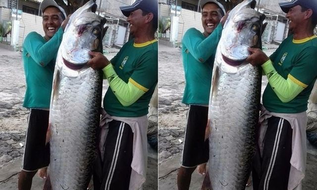 Bắt được con cá khổng lồ dài 2 mét, nặng 70kg, ngư dân phải thốt lên