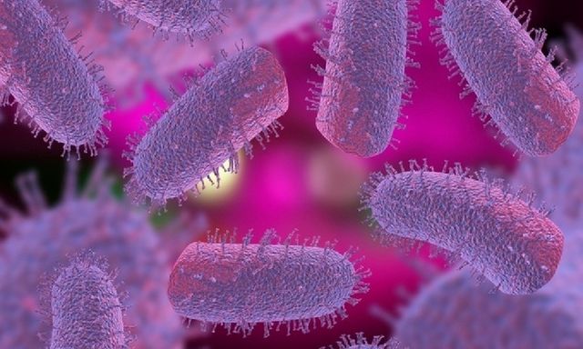 Đồng Tháp: Chủ quán thịt chó tử vong do bệnh dại