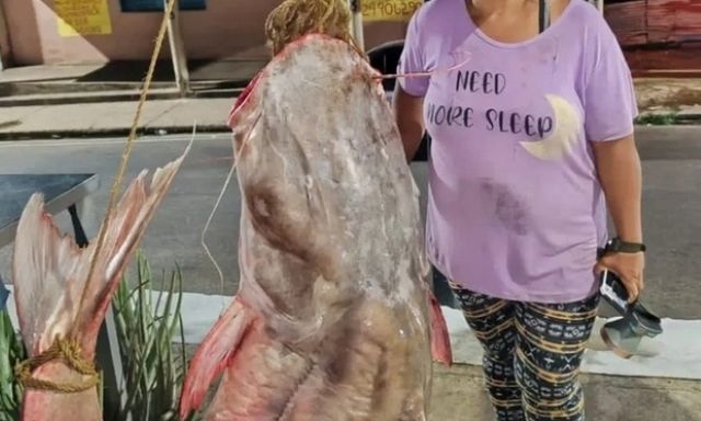 Clip: Người phụ nữ câu được con cá khổng lồ nặng 121 kg, dài 2,28 mét