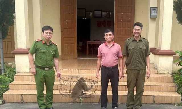 Khỉ mốc quý hiếm nặng 8kg “ghé thăm” nhà dân ở Ninh Bình