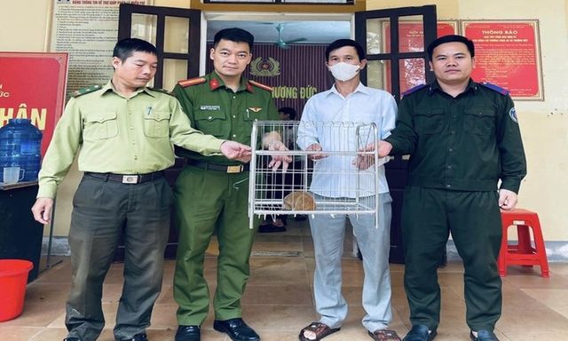 Phát hiện con vật nhỏ quý hiếm, người dân tự nguyện giao nộp công an