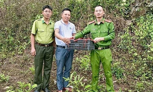 Phát hiện con vật mắt to tròn ngơ ngác vào nhà, người dân báo ngay cho công an