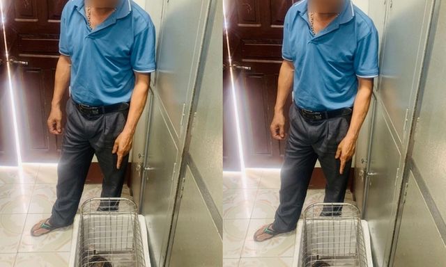 Phú Thọ: Xử phạt người đàn ông nuôi nhốt mèo rừng trái phép tại nhà