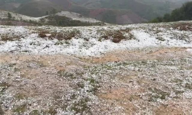 Mưa đá phủ trắng nhiều quả đồi ở Điện Biên