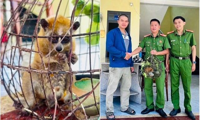 Người dân phát hiện con vật mắt to tròn bám trên dây điện liền giao nộp công an
