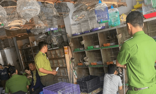 Tin pháp luật nổi bật 24h qua: 2 con rồng Nam Mỹ bị nuôi nhốt ở Quảng Ngãi
