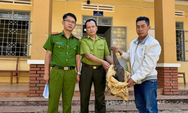 Tin thời sự 24h: Nghe tiếng động lạ trước nhà, người dân phát hiện con vật quý 