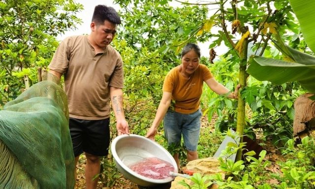 Vụ nước giếng khoan đổi màu tím ở Thanh Hóa: Kết quả phân tích chất lượng nước