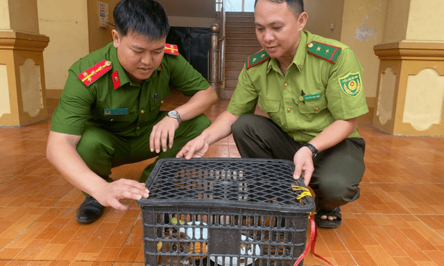 Tin thời sự 24h: Phát hiện con vật quý hiếm 