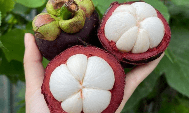 Loại quả được ví như 