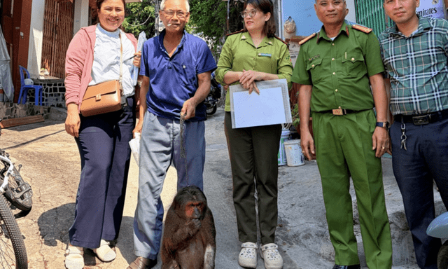 Tin tức thời sự 24h: Người dân tự nguyện giao nộp cá thể khỉ mặt đỏ