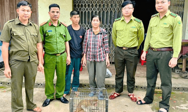 Khỉ hoang đi lạc vào khu dân cư, người phụ nữ bắt giao nộp công an
